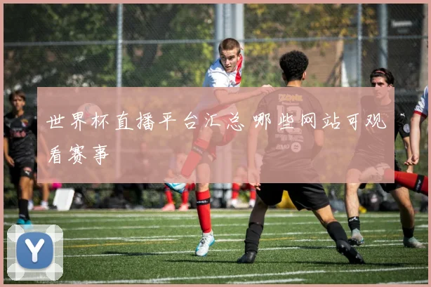 世界杯直播平台汇总 哪些网站可观看赛事