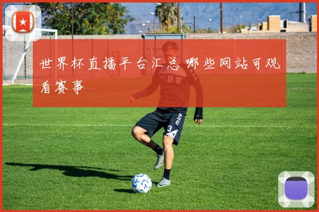 世界杯直播平台汇总 哪些网站可观看赛事
