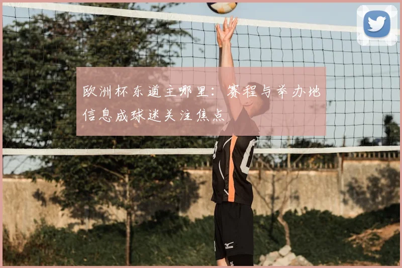 欧洲杯东道主哪里:赛程与举办地信息成球迷关注焦点