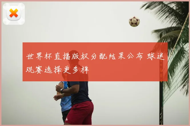 世界杯直播版权分配结果公布 球迷观赛选择更多样