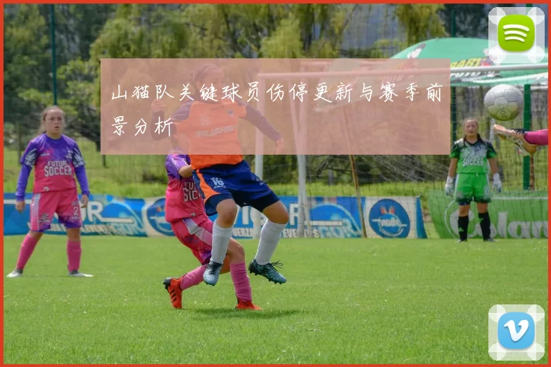 山猫队关键球员伤停更新与赛季前景分析