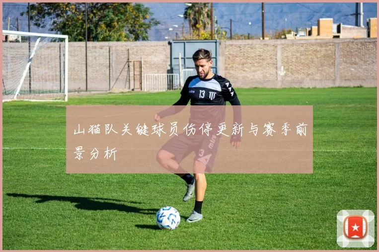 山猫队关键球员伤停更新与赛季前景分析