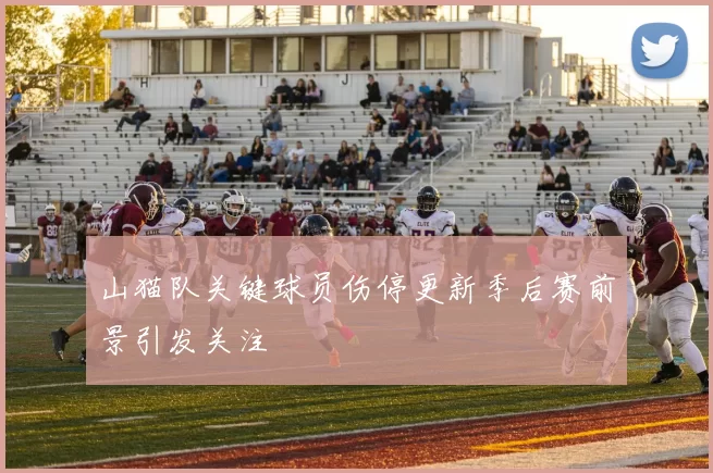 山猫队关键球员伤停更新季后赛前景引发关注